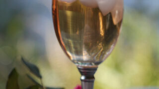 Image for Sassafras Tea