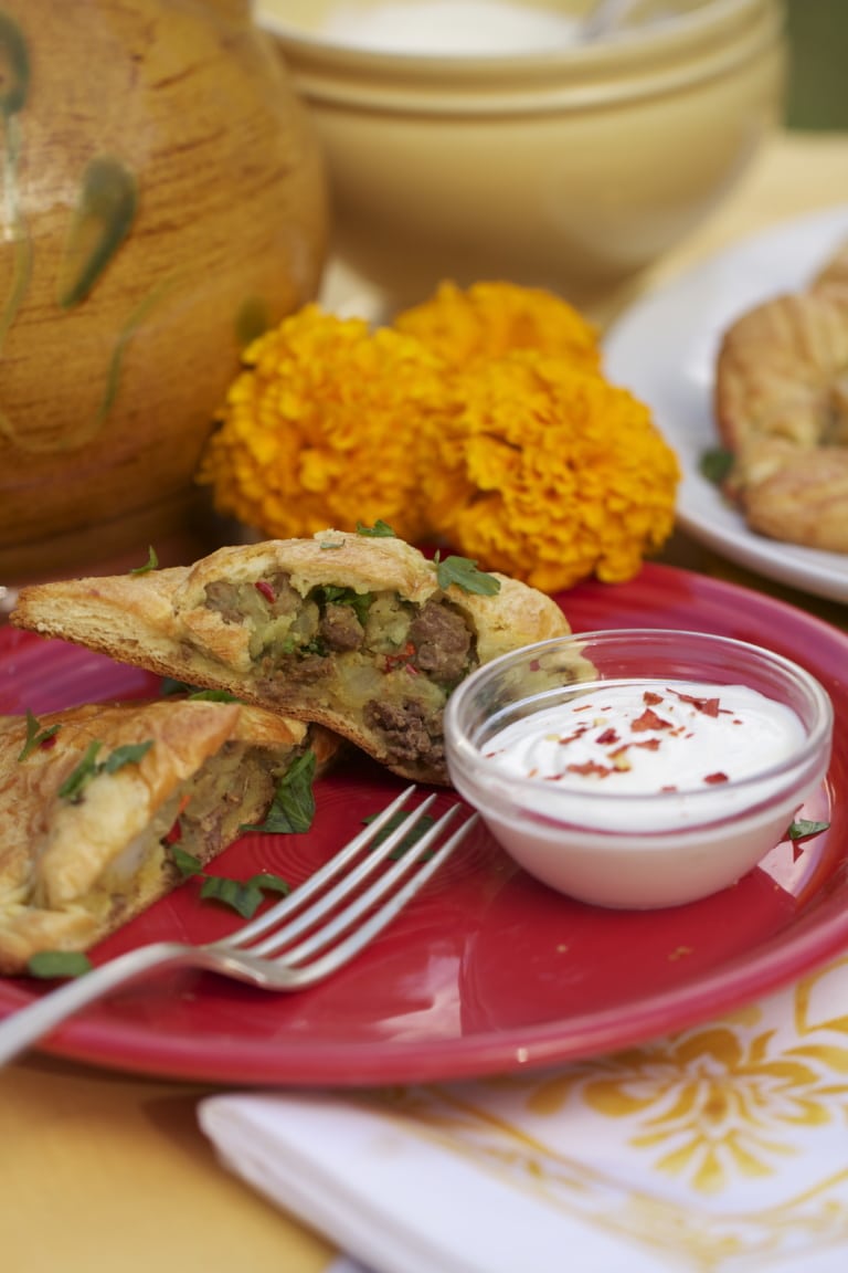 Venison Samosa