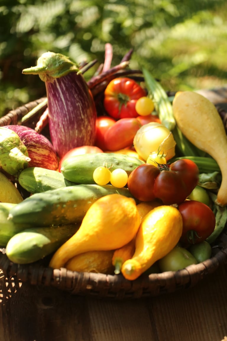 The Kitchen Garden
