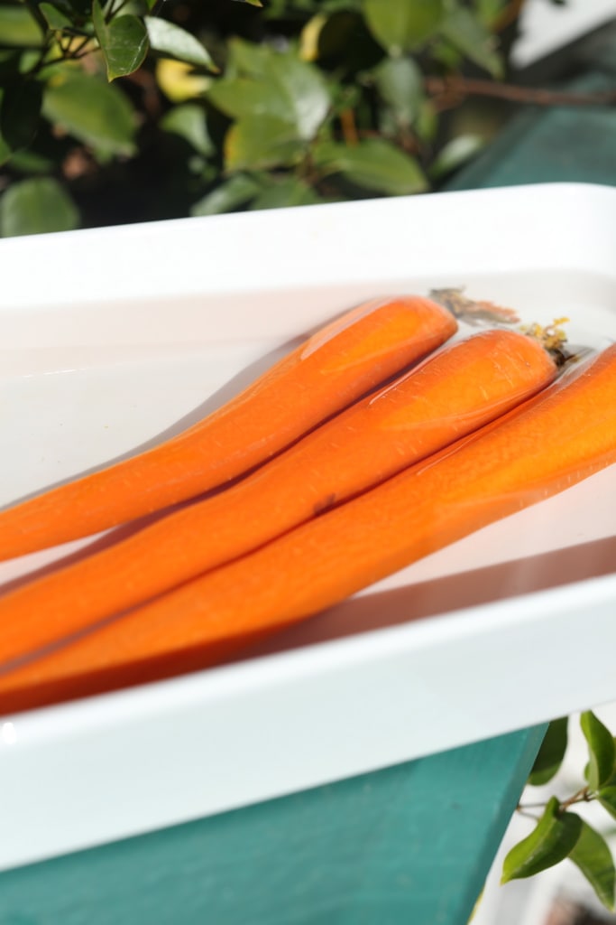 Reviving Carrots