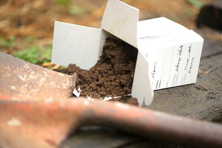 Feed Your Soil