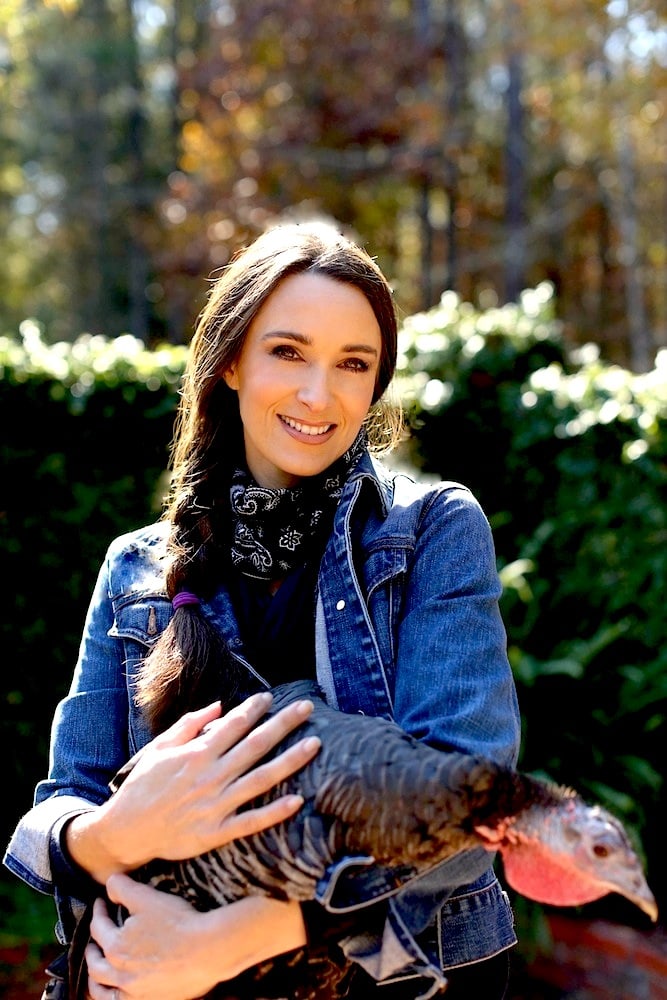 stacy harris