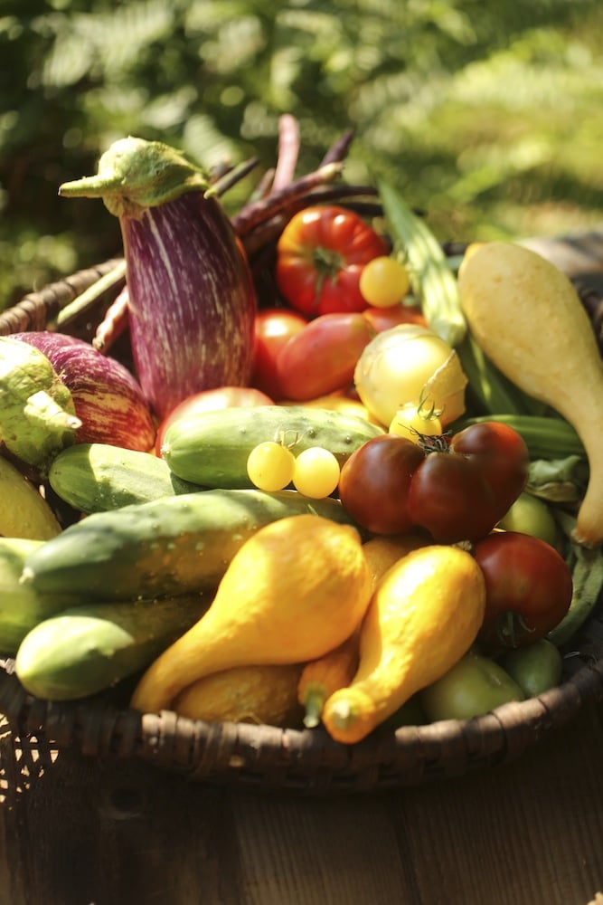 Summer Vegetable Growing Season
