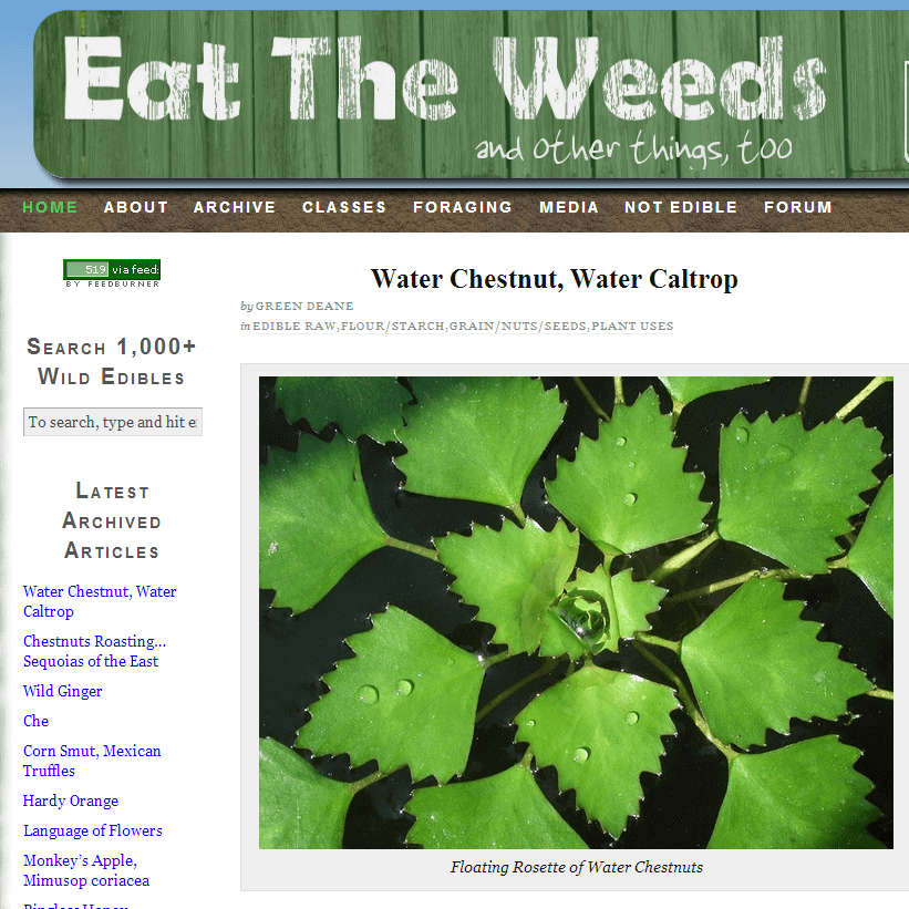 EAT THE WEEDS
