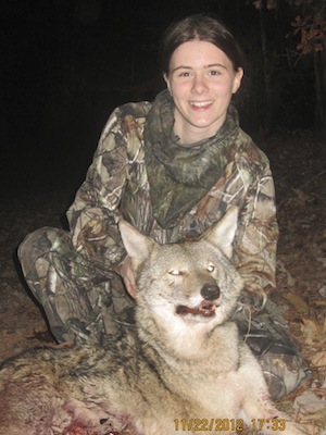 img-0771 coyote