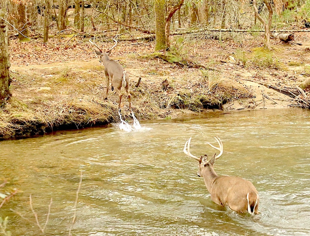 Cade's Cove Adventure