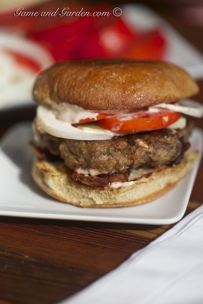 Stacy Lyn Harris Quarter-Pound Turkey Burger