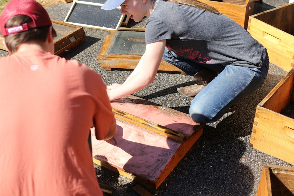 Cleaning Beehives
