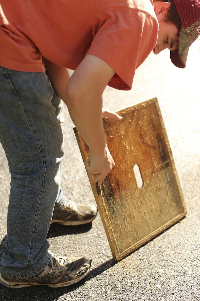 Scraping Parts to the Beehive