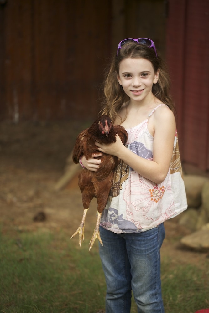 One of My Chicken Whisperes