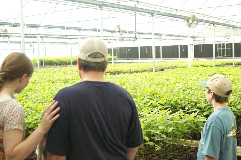 A Peek at Native Nurseries