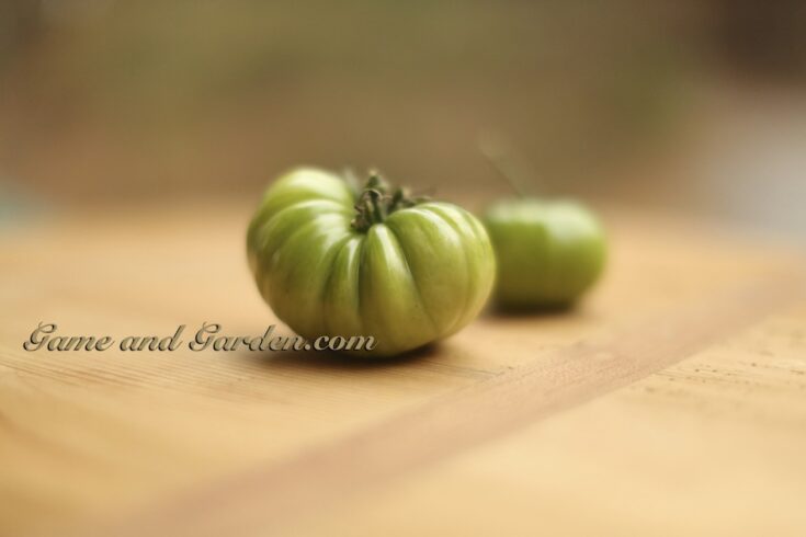 Image for Healthier Crunchier "Baked" Fried Green Tomatoes Recipe