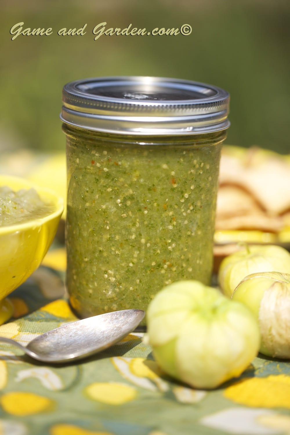 Stacy's Homemade Salsa Verde