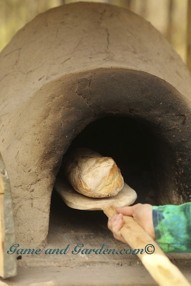 Rustic Bread Straight from the Oven