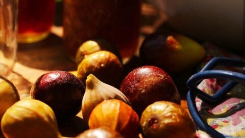 Image for Fig Preserves