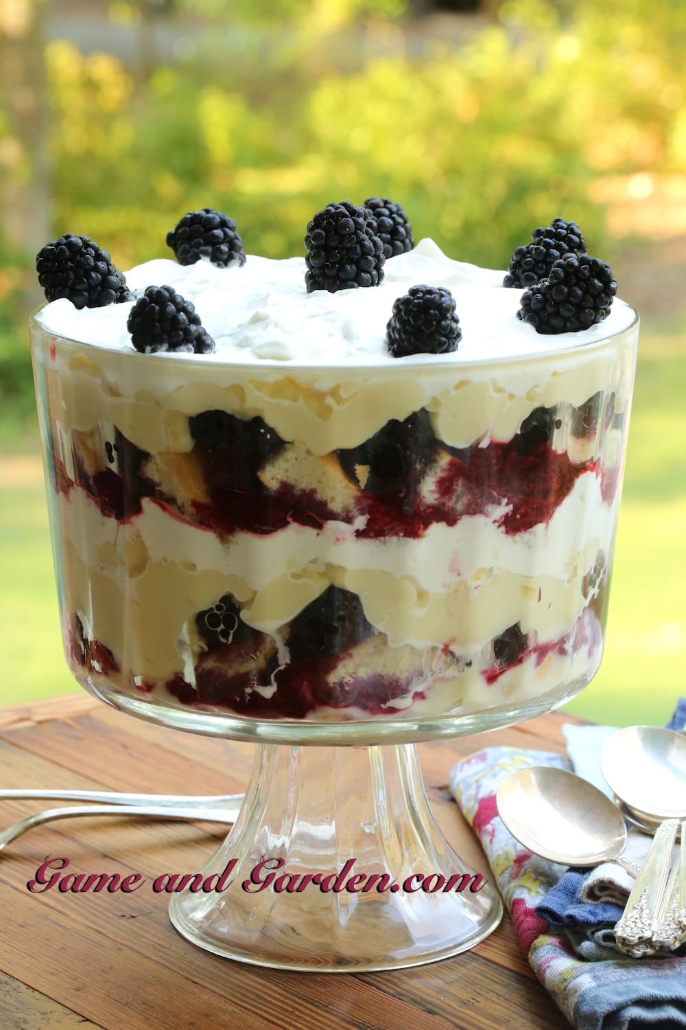 Blackberry Trifle with Luscious Custard Filling