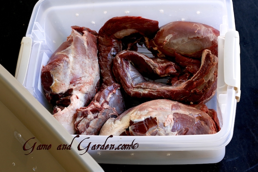 Depending on the size of your refrigerator, you may be able to get longer bins than this one. The key is to keep the meat away from the blood and to have air circulating all around the meat at a steady temperature between 37 and 40 degrees.