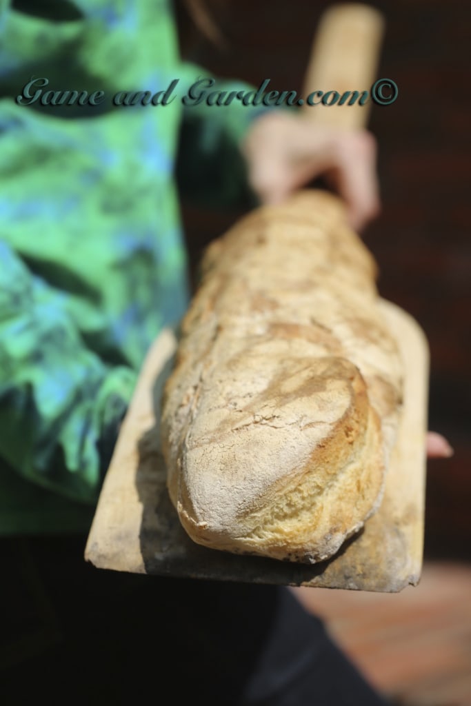 Rustic Italian Bread