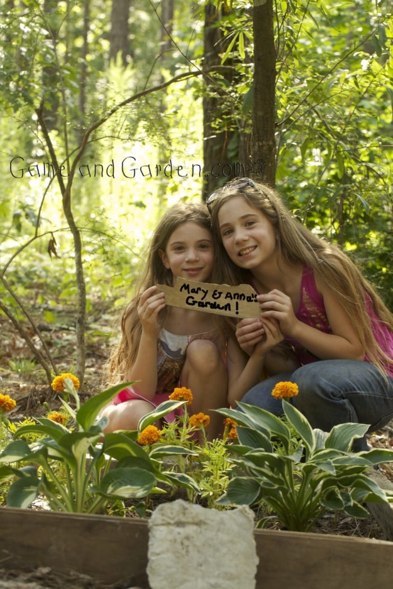 from sibling rivalry to cooperation