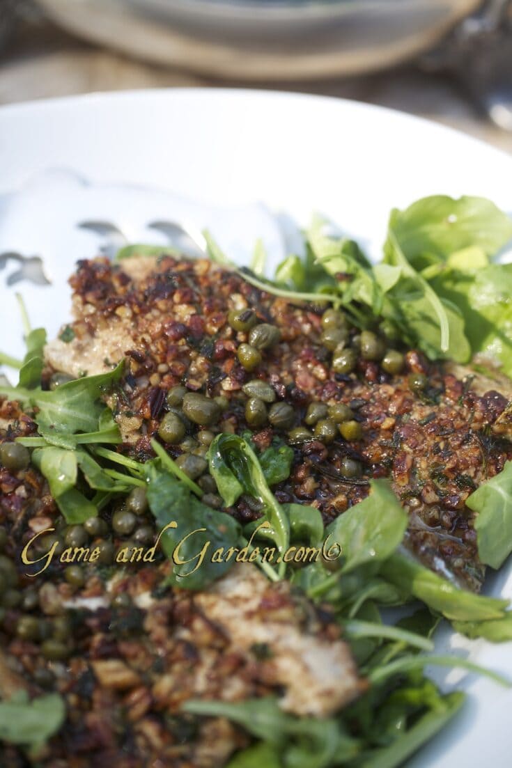 HERB PECAN CRUSTED TROUT