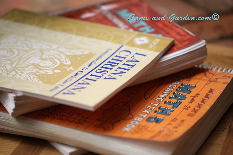 Why I Homeschool: the Effects of Homeschooling on Family Life