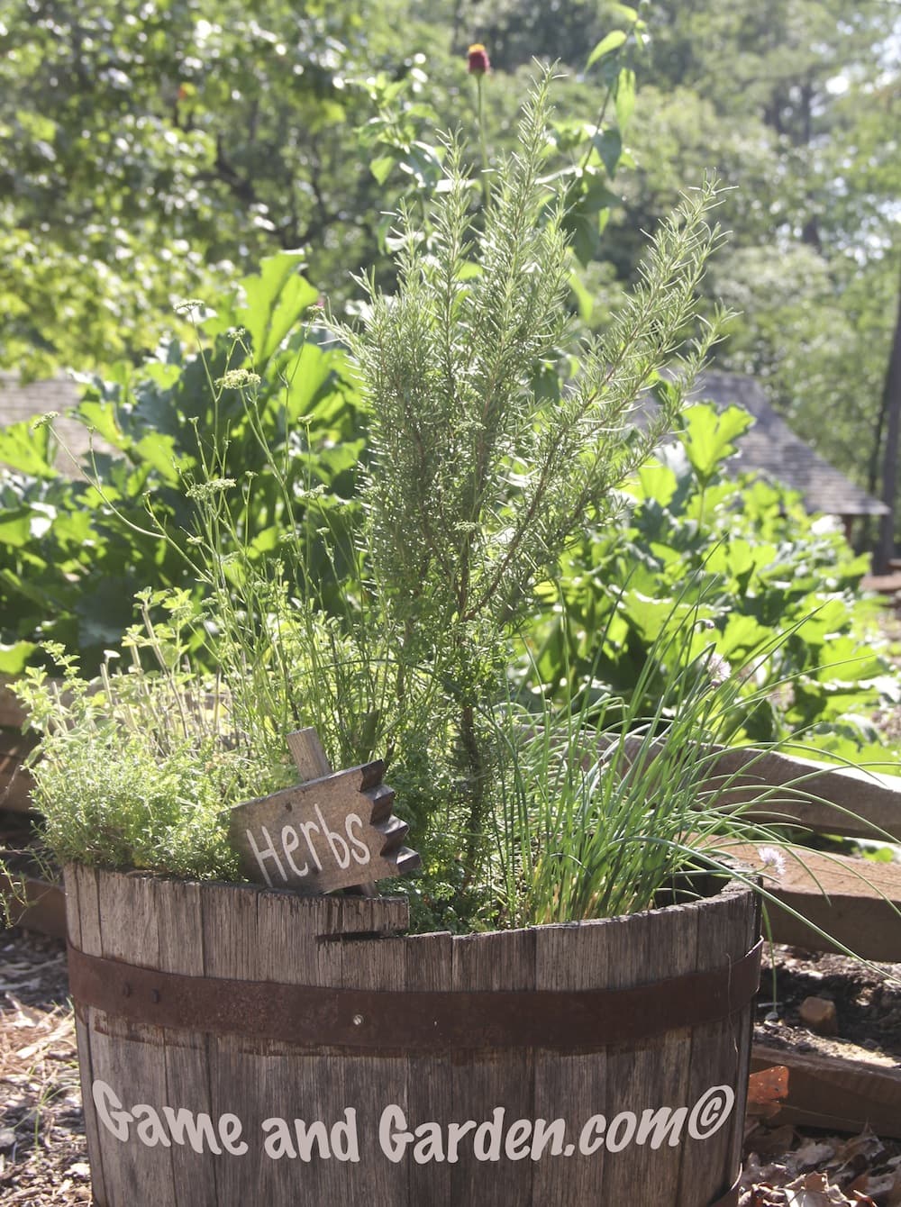 Barrel of Herbs