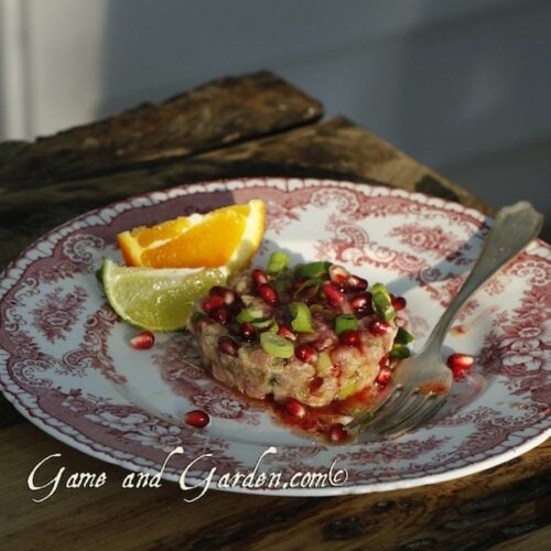 beautifully plated tuna tartare with pomegranates and citrus wedges