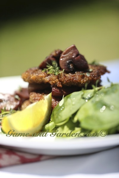 Venison Scaloppine