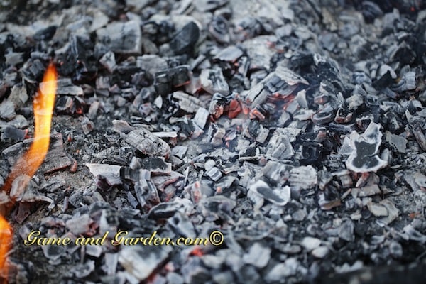 Do you ever find yourself staring at the embers of a fire? It is almost like it is hypnotic (if you believe in that kind of thing).