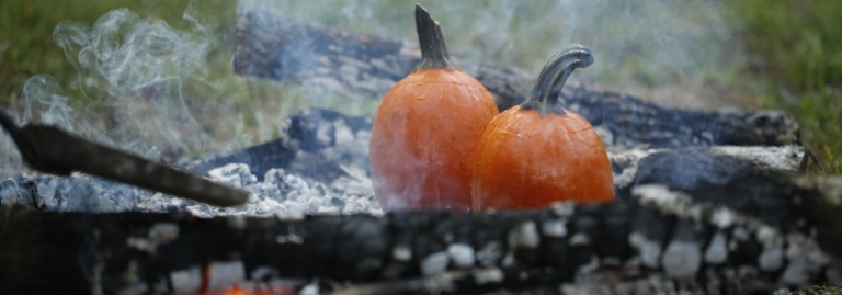Pumpkin Pie “Pioneer Style” – No Oven Needed