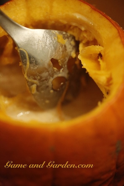 Now comes the fun part; mixing the cream mixture and the pumpkin.