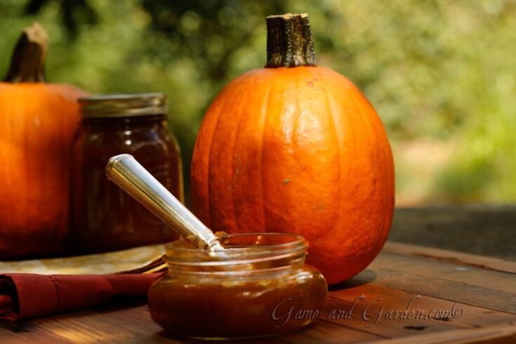 Image for Spiced Pumpkin Butter Recipe