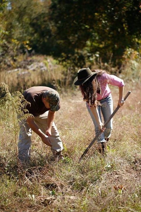Scott and Stacy digging up sweet potatoes