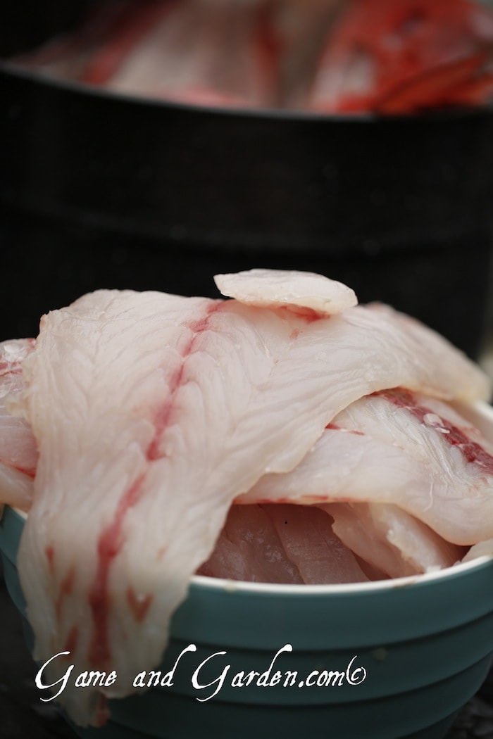 Perfect Filets 