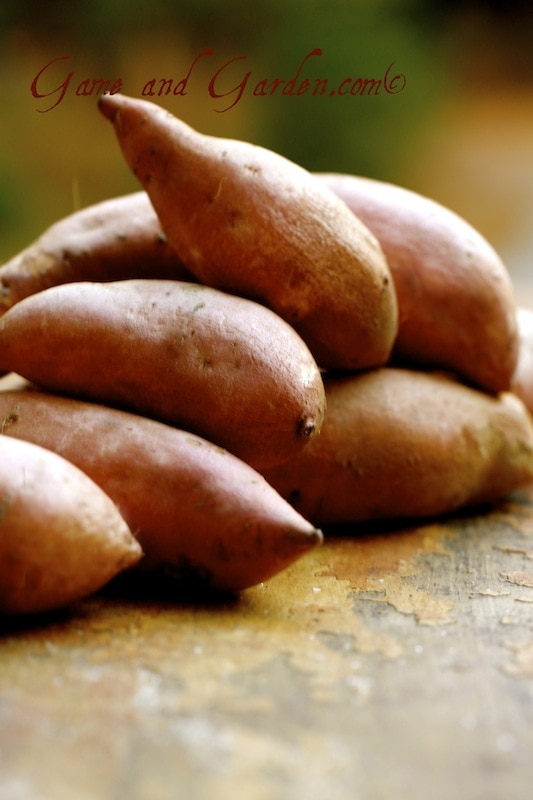 I LOVE sweet potatoes!