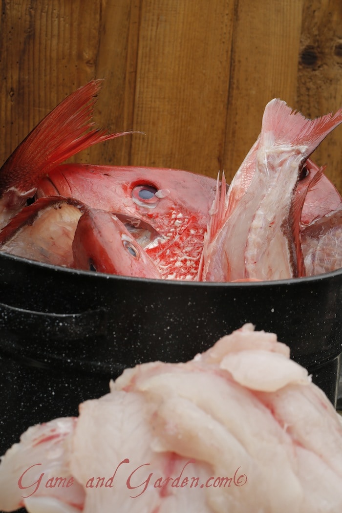 Easy Homemade Fish Stock Recipe