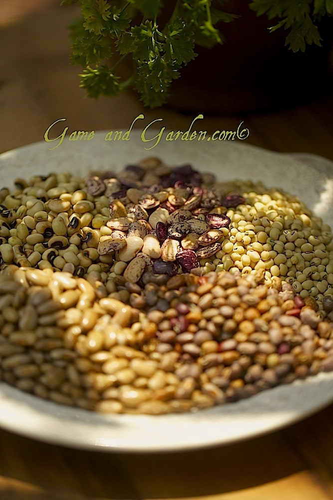 The peas in the upper left are the black-eyed peas or field peas as they are known around these parts.