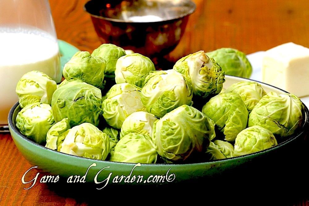 Brussels sprouts surprisingly contain 2 grams of protein for 1/2 cup.