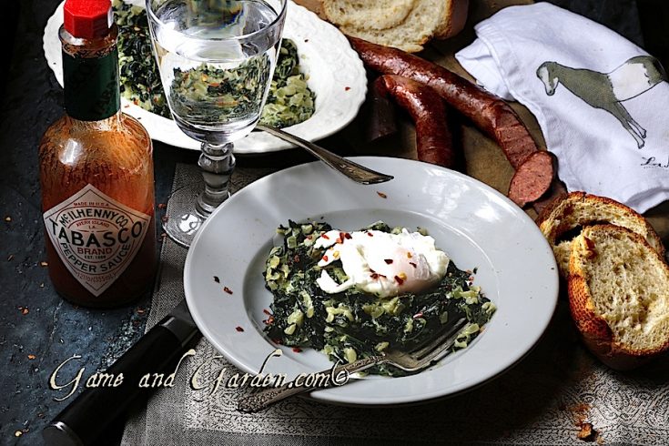 This dish is absolutely one of the healthiest tastiest dishes ever. I love to serve it with sausage and crusty toasted garlic bread.