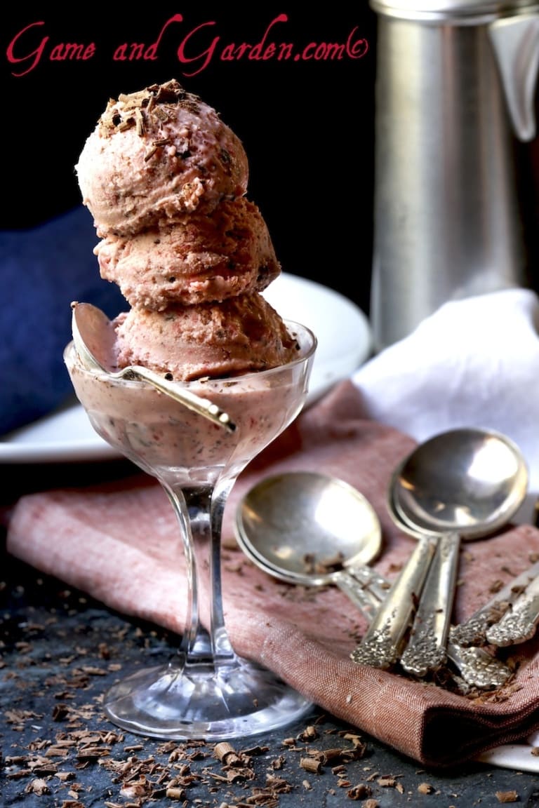 strawberry chocolate chip homemade ice cream