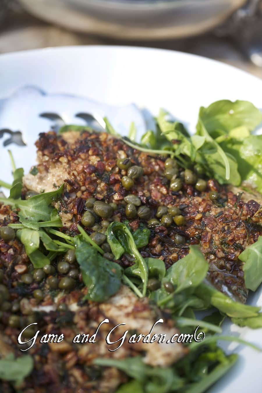 Herb and Pecan Crusted Trout arranged on plate with greens and sauce