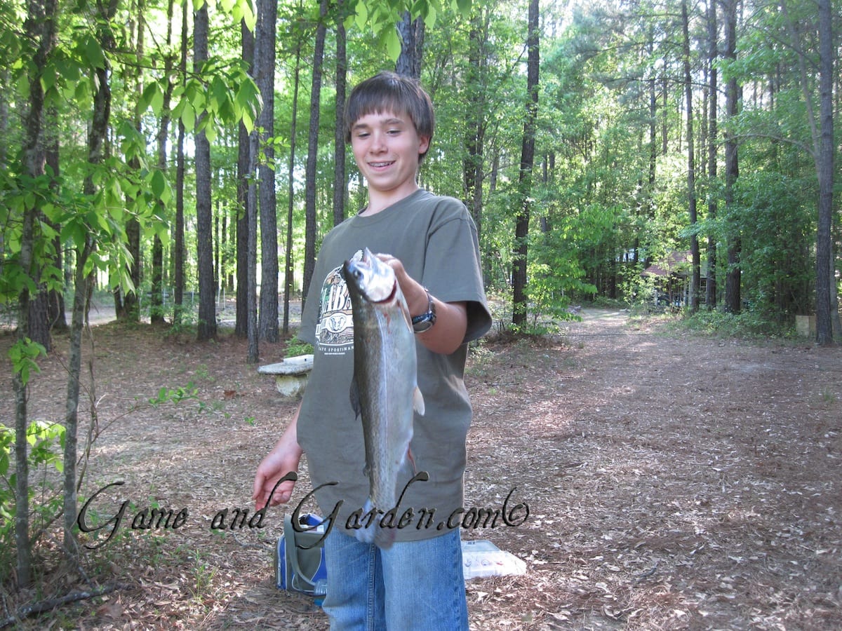 Hampton is so proud to have caught this gorgeous trout. It makes for excellent eating!