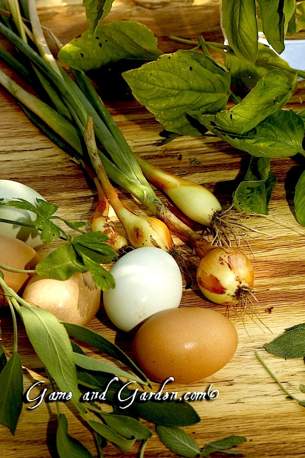 Just about everything I need to make my awesome Herb Frittata! I just love fresh herbs, onions, and eggs!