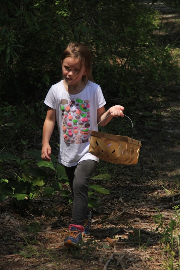 M baby is getting so big. I hope she thinks well on these days of foraging blueberries every spring! I know I will!!