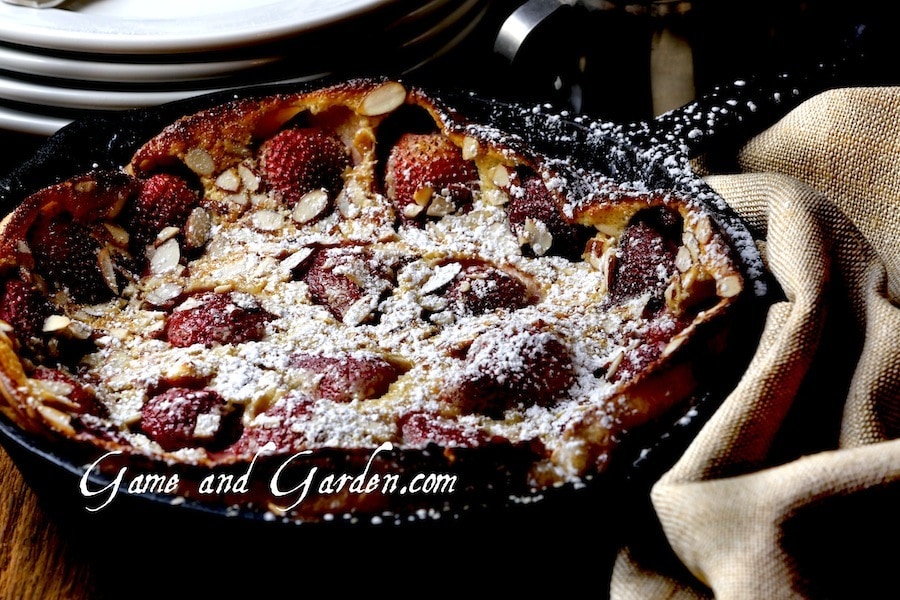 Strawberry Clafoutis is a scrumptious brunch or dessert! It is easy to make and gorgeous on the plate next to a vanilla whipped cream!