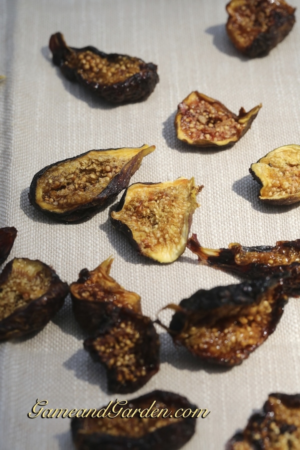 Drying fruit is the perfect way to preserve flavor and to keep healthy snacks on hand.
