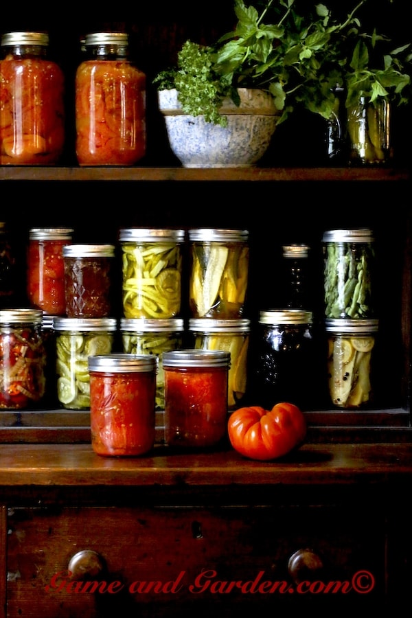 Preserving Summer: Everything You Need to Know About Canning, Drying, and Freezing