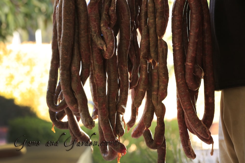 Venison Sausage..just like I like it...ready to go into the smoker!