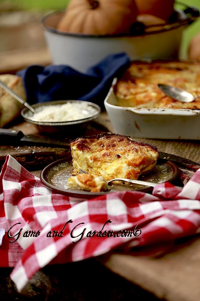 Creamy Pumpkin Lasagna
