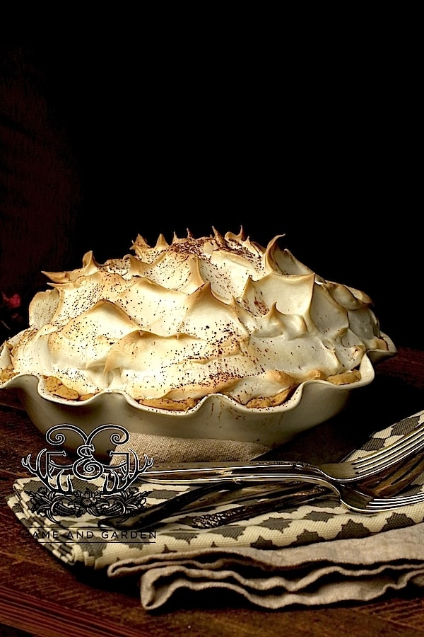 Chocolate Meringue Pie - Fail Proof - Stacy Lyn Harris